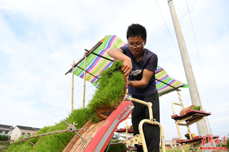 【“新”劳动者】 95后全能农机手与他的田间“变形金刚”