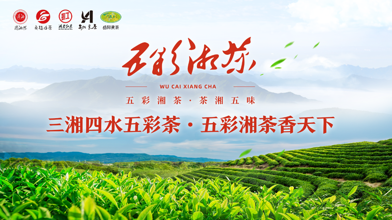 三湘四水五彩茶，五彩湘茶香天下