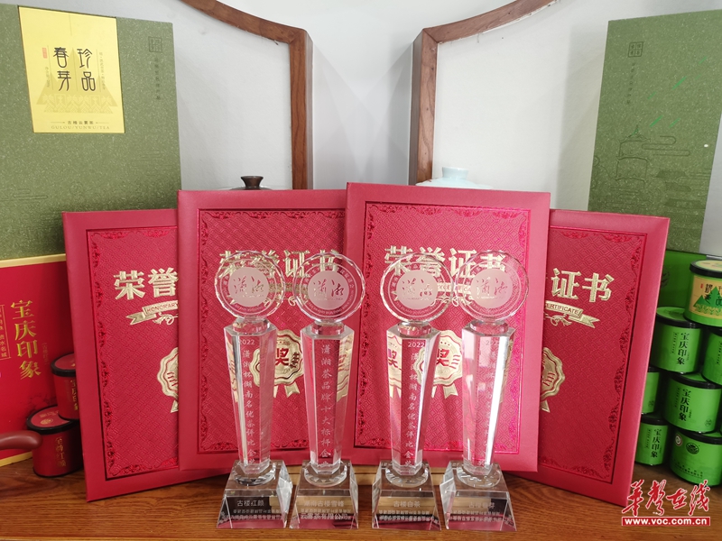 第二届潇湘茶文化节开幕  古楼云雾茶获4项大奖