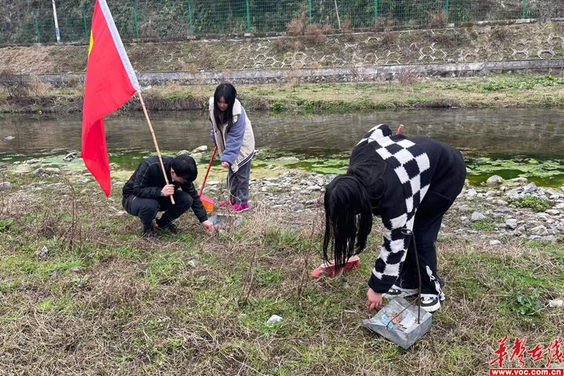 图片 4.png