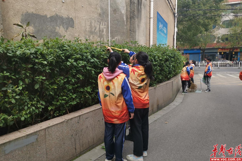 图片 5.png