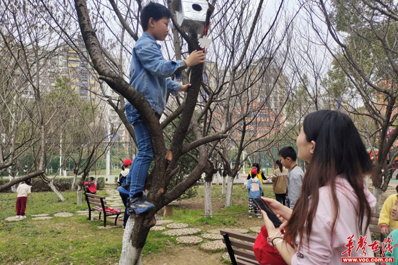 图片 2.png