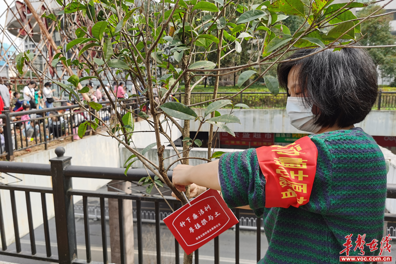 图片 2.png