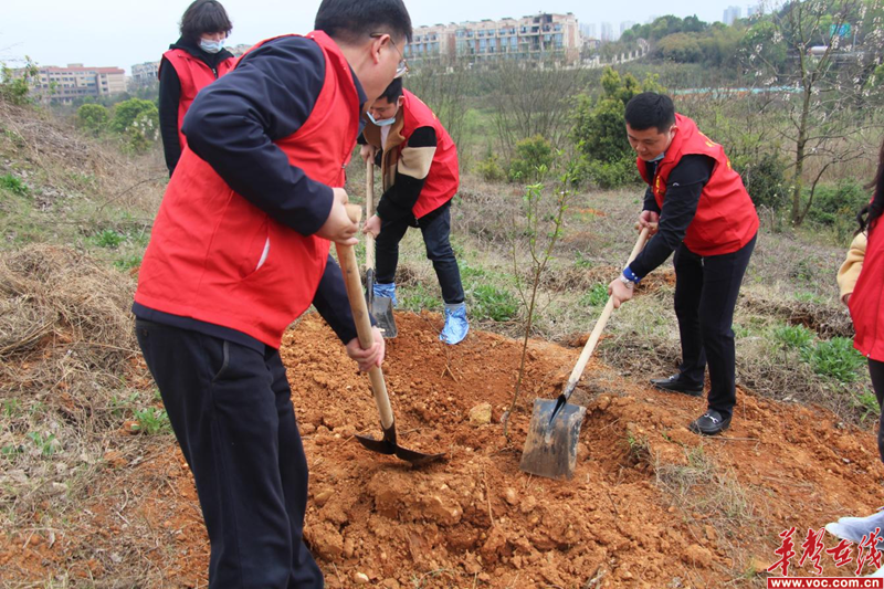 1647586825889185.png 图片 8.png
