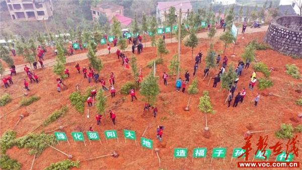 1615790343955013.jpg d3b60560bc8b374cbb6442a6bfa2e17.jpg