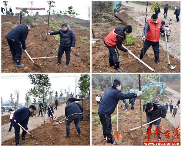 1615790351895770.jpg a3a1ebf59a1dc8f2cb5251c27e6cf4b.jpg