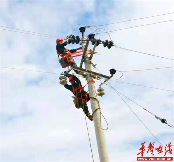新宁县电力为乡村振兴提供强有力的“电引擎”_邵商网