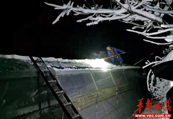 高桥镇：奋战一夜育有万余株烟苗的大棚保住了_邵阳头条网