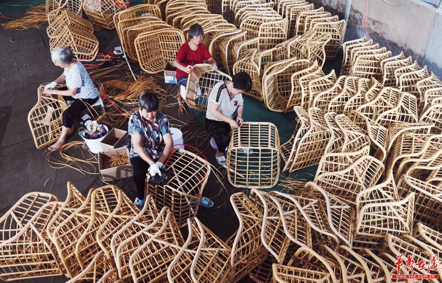 该村青年邓五桂去年底从广东返乡创业,创立的藤椅加工厂于7月底投产