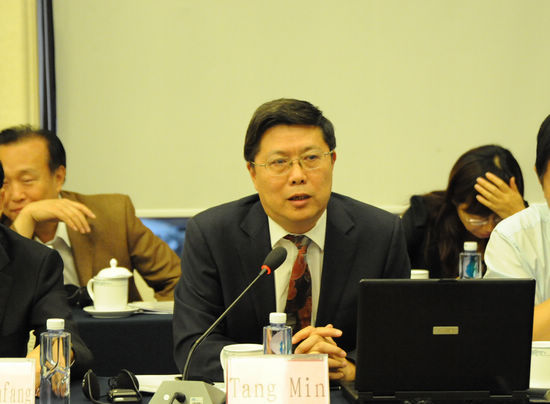 发展新型城镇化国际研讨会在京举行