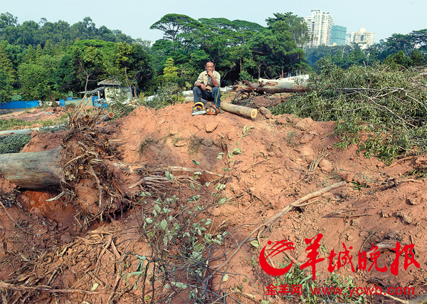 广州：因三条地铁设站公园4000棵树被挖走图