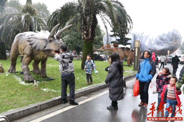 游客在恐龙仿真模型前拍照留恋.jpg