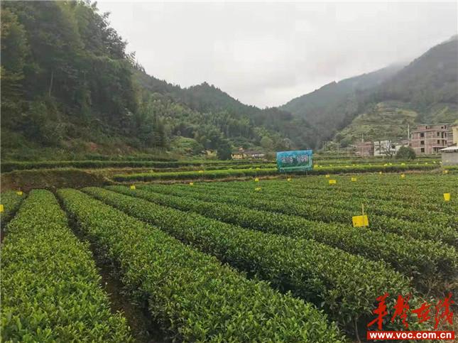 微信图片_20191013165037_副本1.jpg