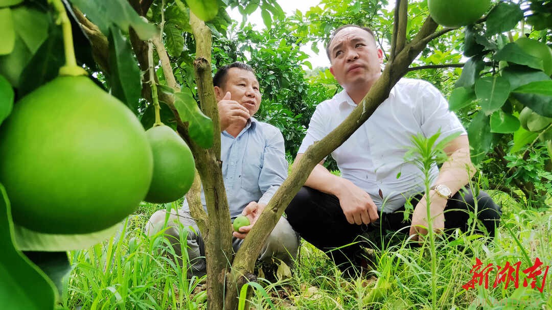 嘉禾满堂村：兴产业富民生