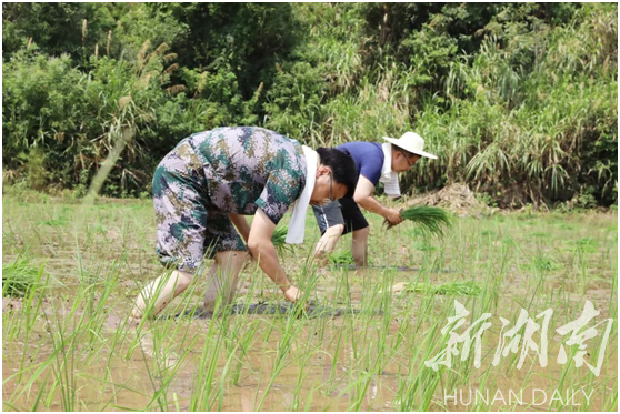 宜章：党员干部下村“认种”责任田