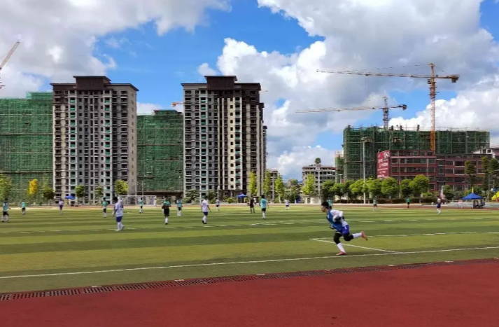 代表各县(市,区)及市直单位参赛的2030名运动员齐聚临武,在临武一中