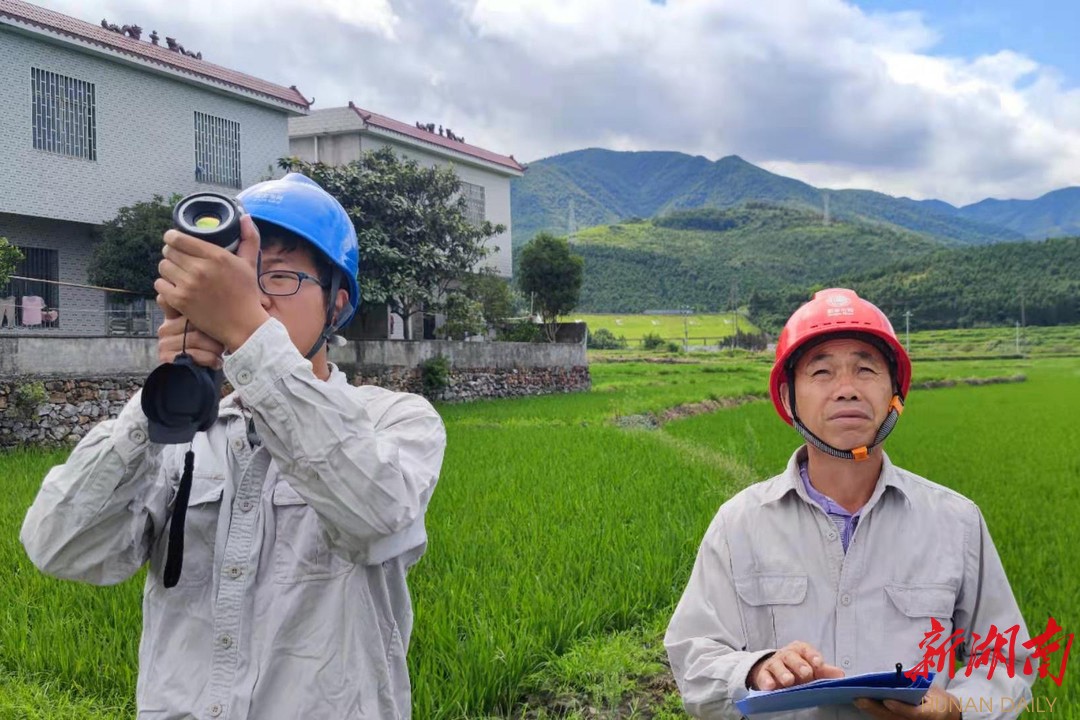 国网北湖区供电公司：电力服务“及时雨”助农田“解渴”