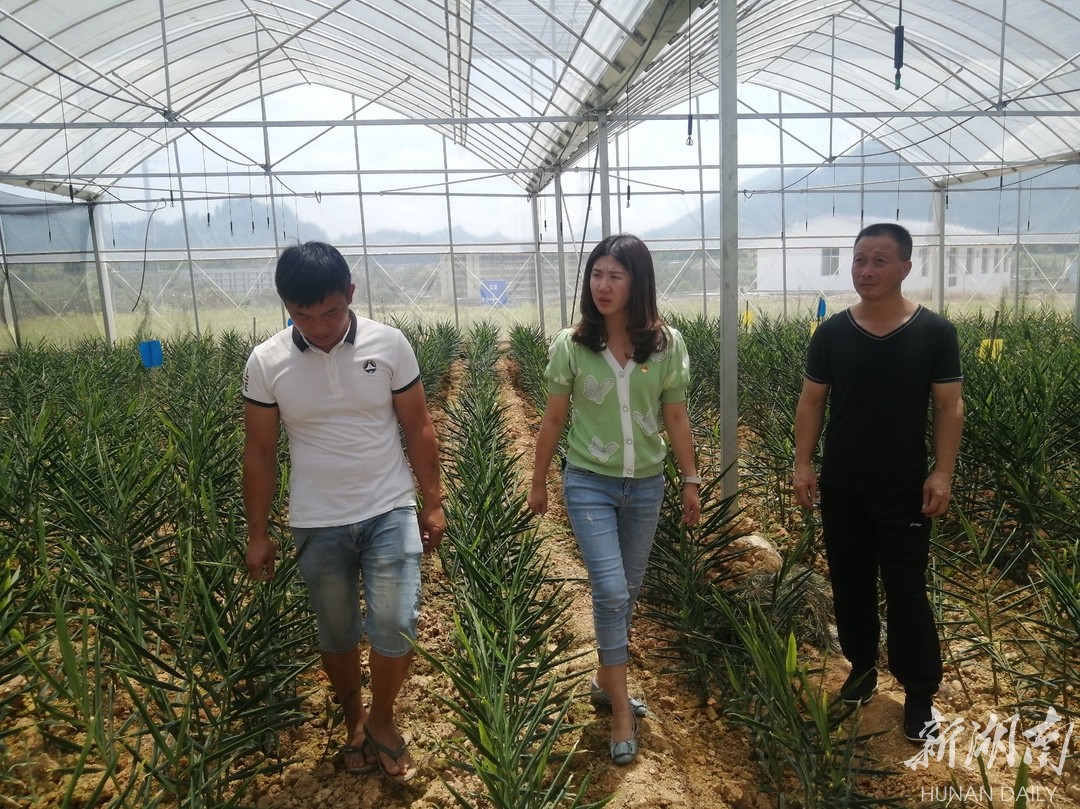 汝城胡施蕾丨根植沃土绽花蕾