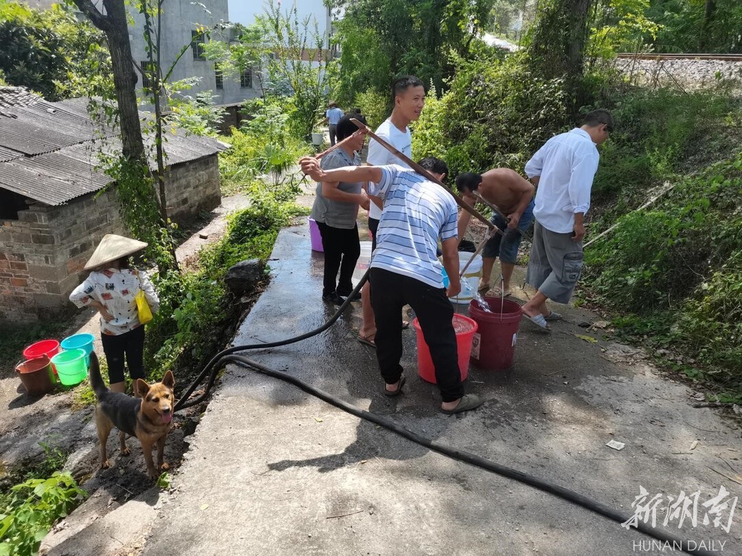 宜章梅田镇丨抗旱送水进田间 滴滴甘露润民心