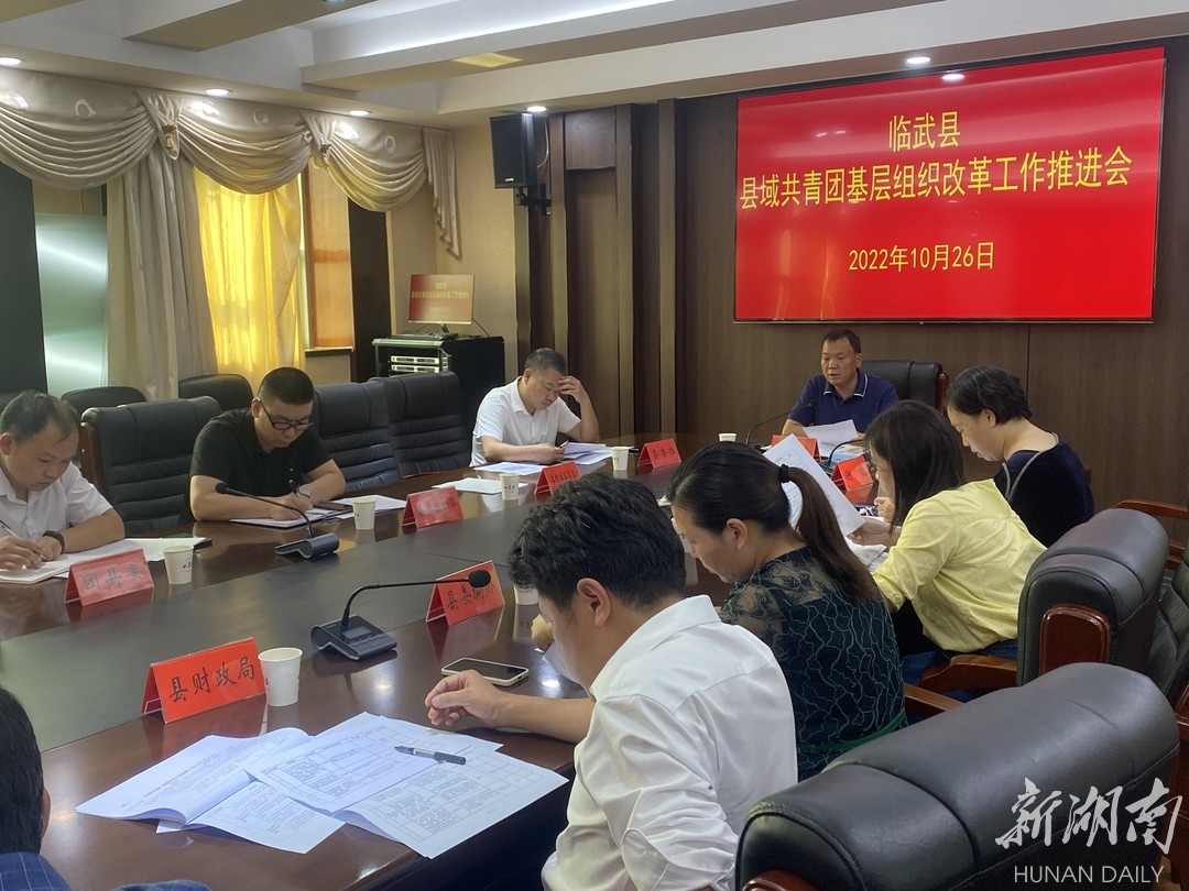 临武县加速推进县域共青团基层组织改革工作