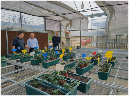 创新“草莓贷”，建行郴州市分行助力乡村振兴出实招