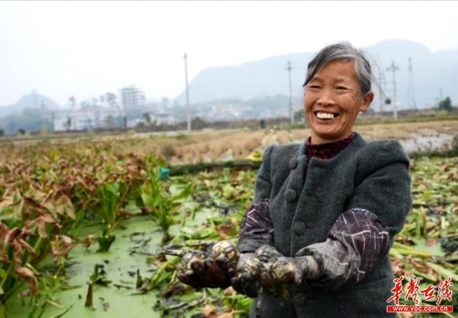 微信截图_20250104090117.png