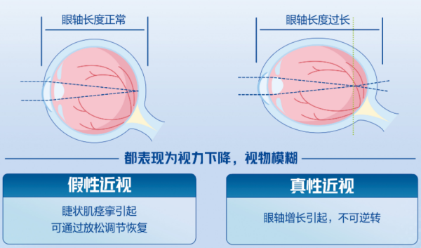 图片2_副本.png