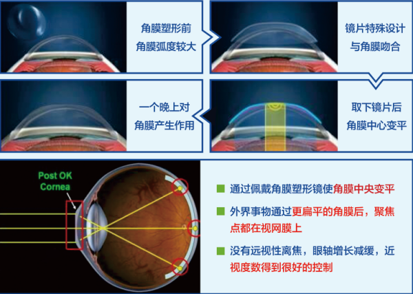 图片6_副本.png