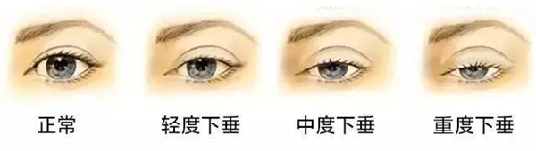 图片1_副本.jpg