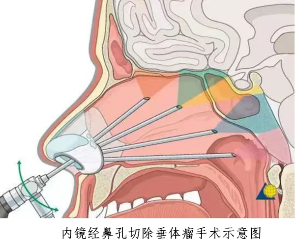 微信图片_20220519183243_副本.jpg