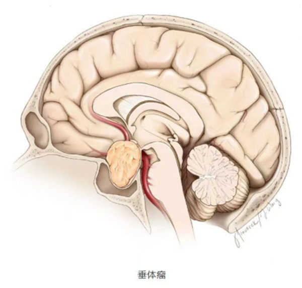 微信图片_20220519183239_副本.jpg