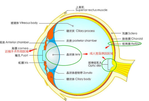 图片1_副本.png