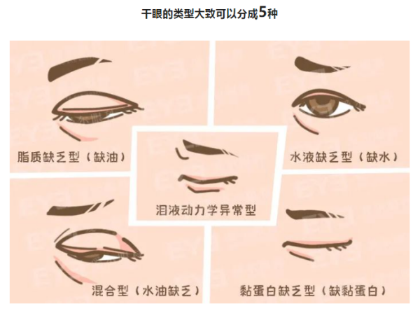 图片5_副本.png