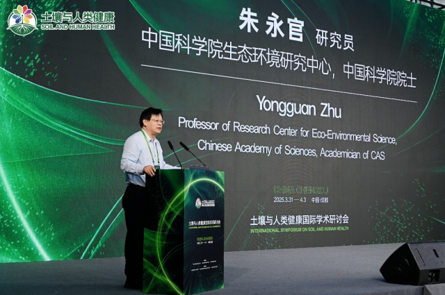 图片2_副本.png
