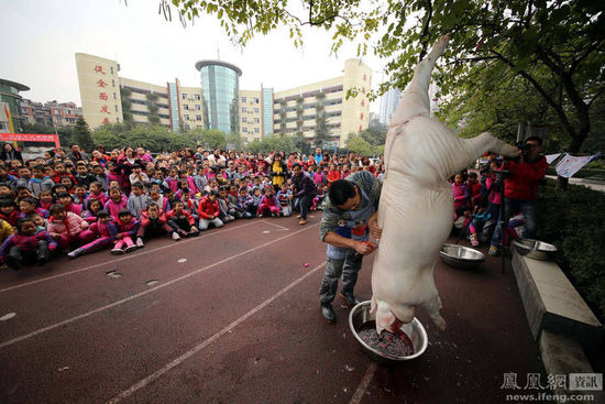 重庆一小学组织学生看杀猪过平安夜
