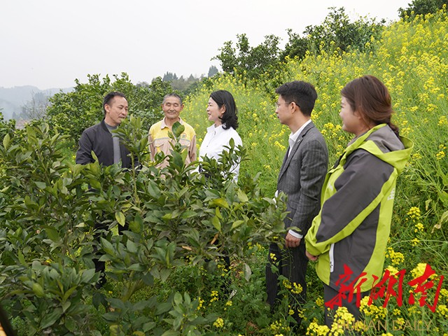 视频｜农业技术服务站入村大有可为——全国人大代表李小红深入山间地头宣讲全国两会精神