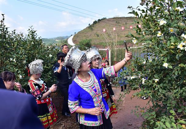 芷江：特色产业兴 增收路更宽