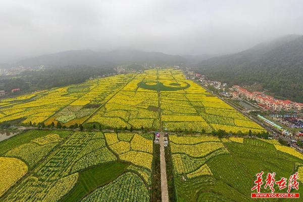 图片3.jpg