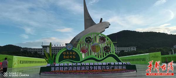 图片1_副本.jpg