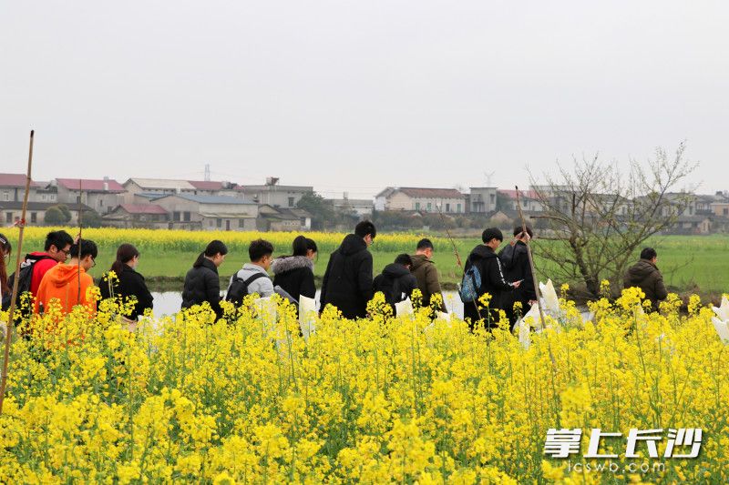 图2.jpg