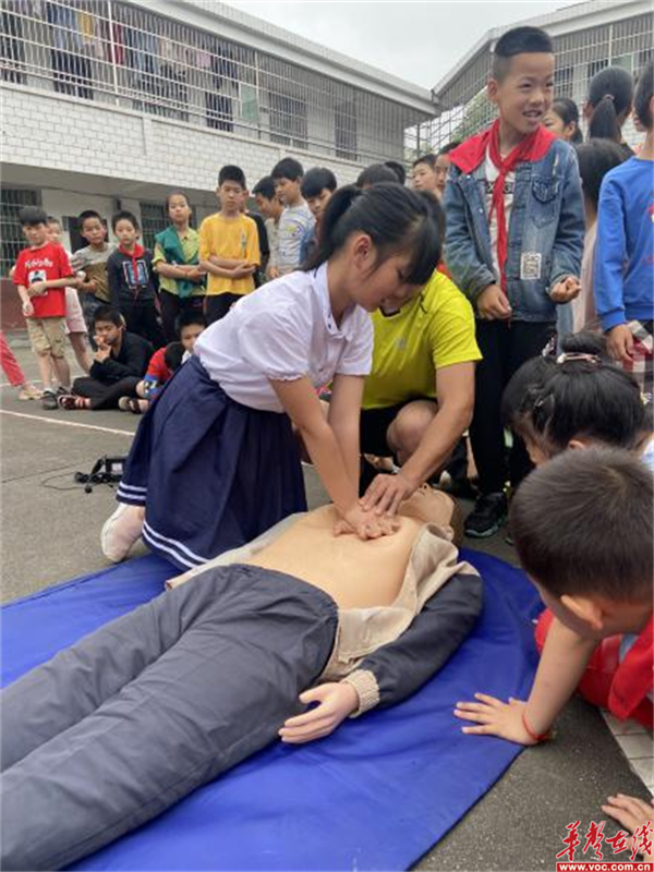 茶恩寺镇樟树小学2_副本.png