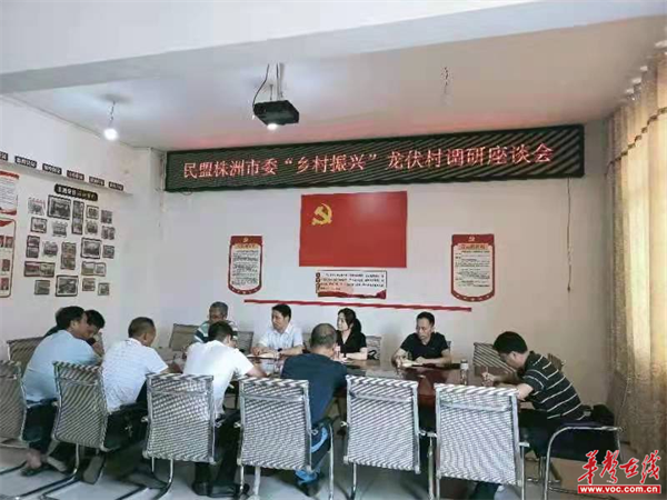 龙伏村调研会_副本.png