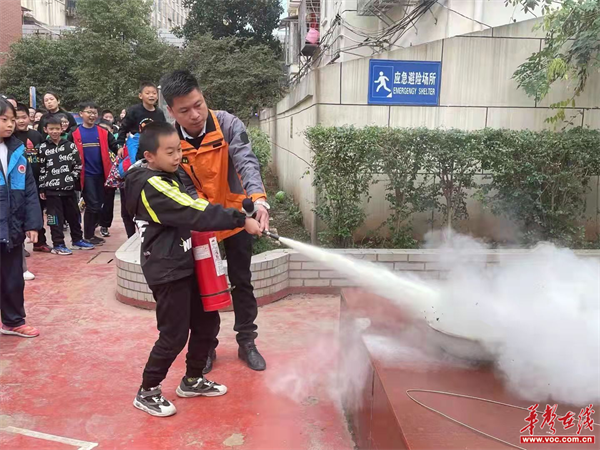 株董路小学2.png
