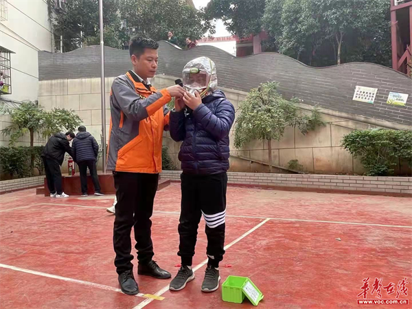 株董路小学3.png