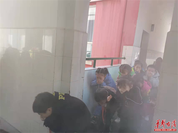 株董路小学1.png