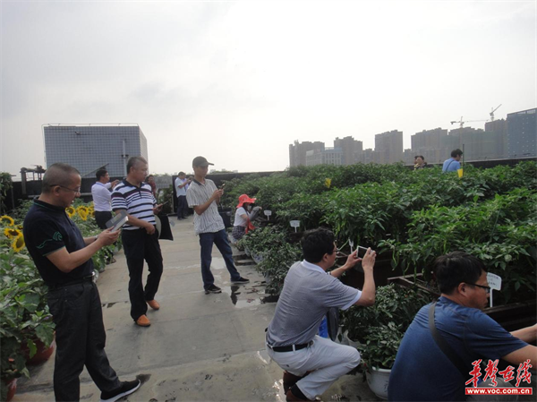 湖南省园艺学会3.png