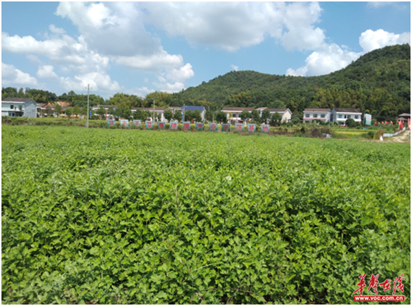 隆兴坳村1.png