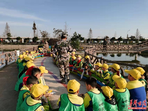 茅草街镇中心小学2.png