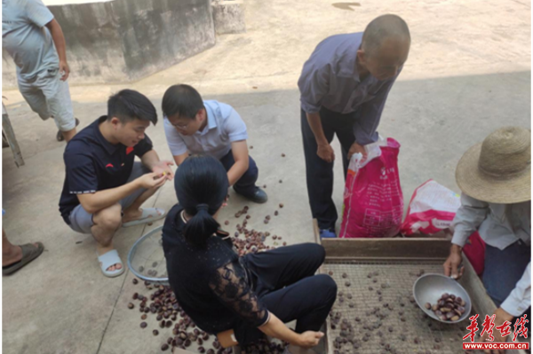 图片 4_副本.png