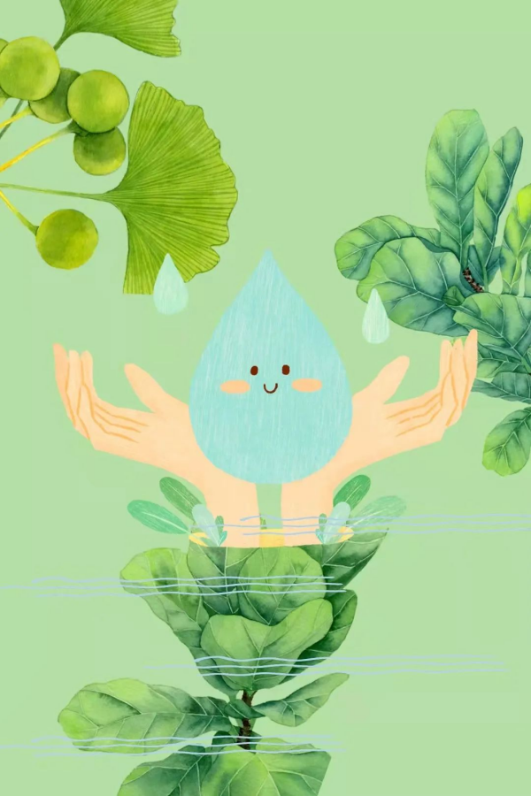 图片 8.png